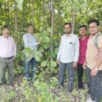 नावीन्य पूर्ण उपक्रम अंतर्गत अटल आनंद घन वन