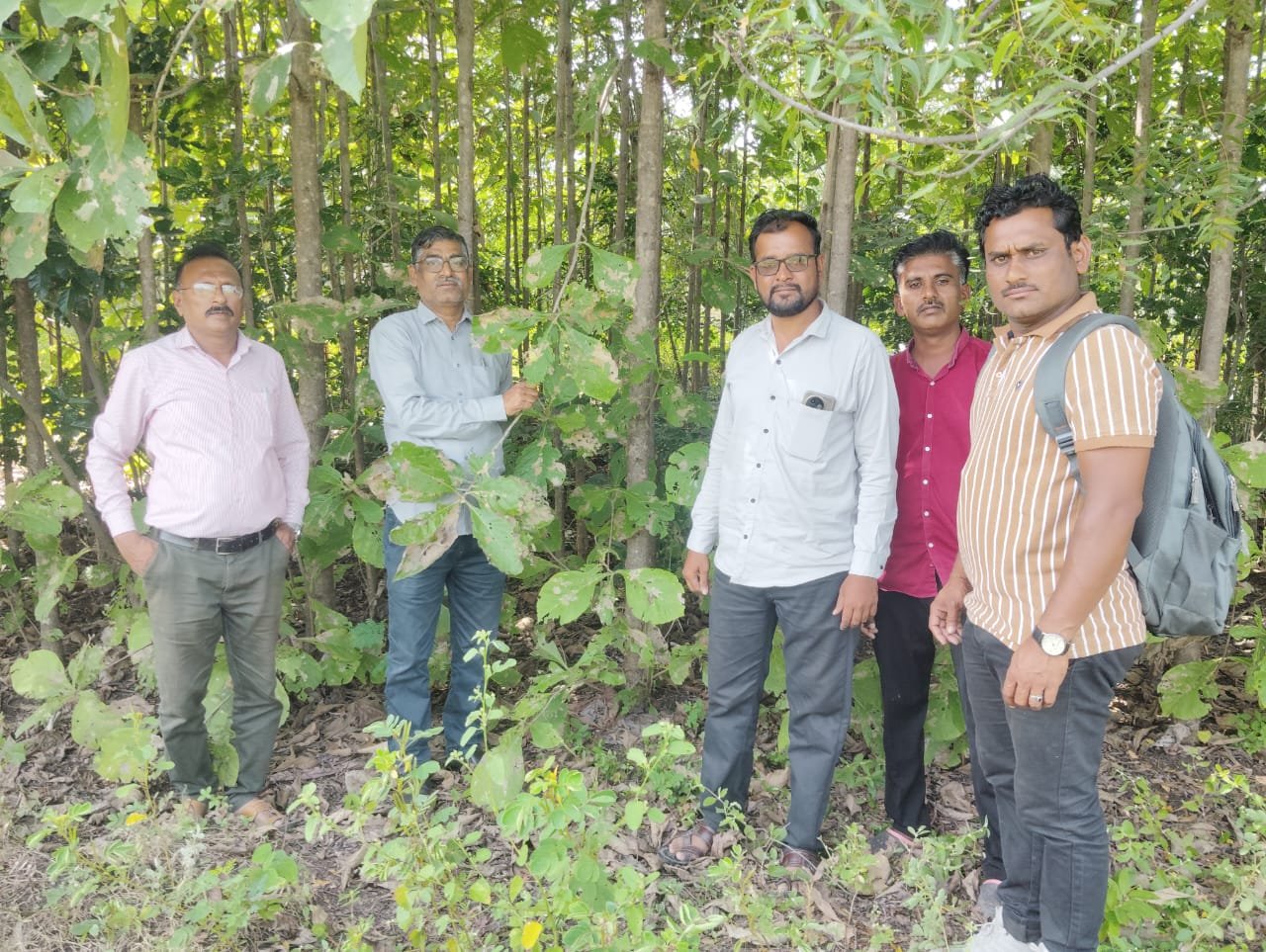 नावीन्य पूर्ण उपक्रम अंतर्गत अटल आनंद घन वन